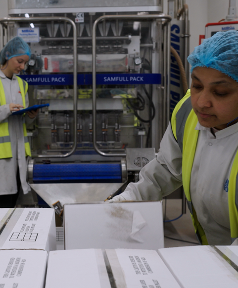 An Irresistible Blend